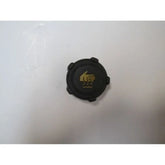 Fluence Radyatör Su Deposu Kapağı